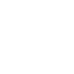 Logo do Studio Gruna