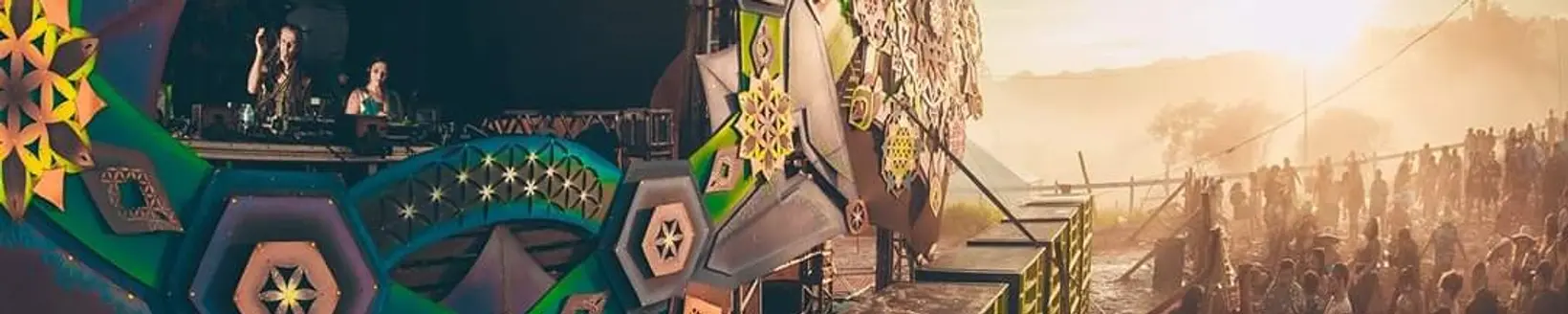 Artist banner
